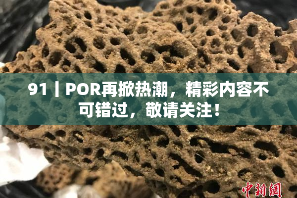 91丨POR再掀热潮，精彩内容不可错过，敬请关注！