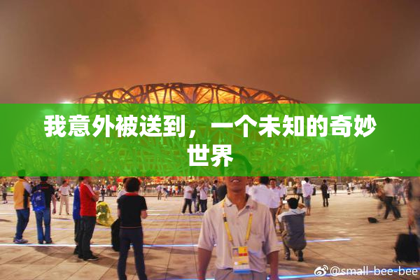 我意外被送到，一个未知的奇妙世界