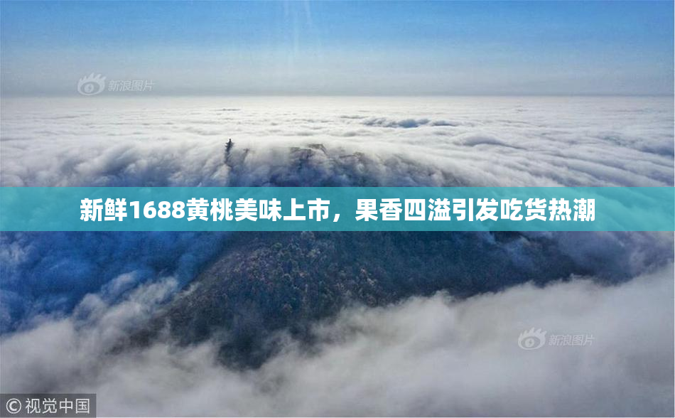 新鲜1688黄桃美味上市，果香四溢引发吃货热潮