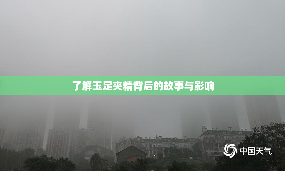 了解玉足夹精背后的故事与影响