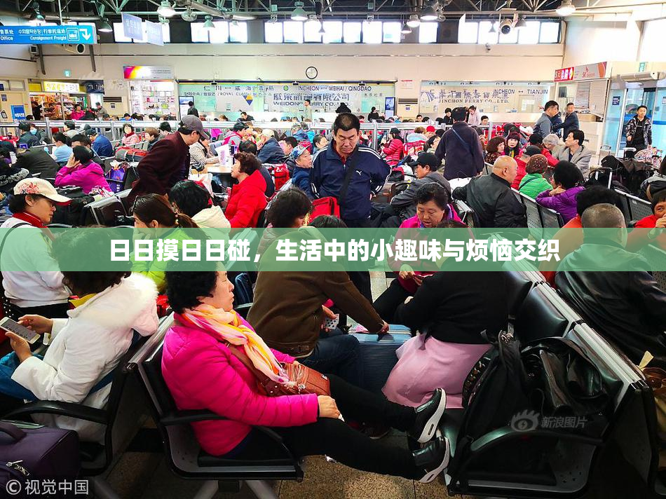 日日摸日日碰，生活中的小趣味与烦恼交织