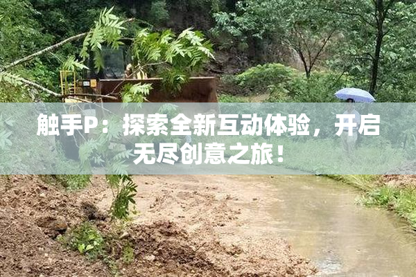 触手P：探索全新互动体验，开启无尽创意之旅！