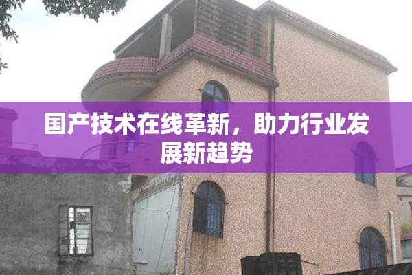 国产技术在线革新，助力行业发展新趋势
