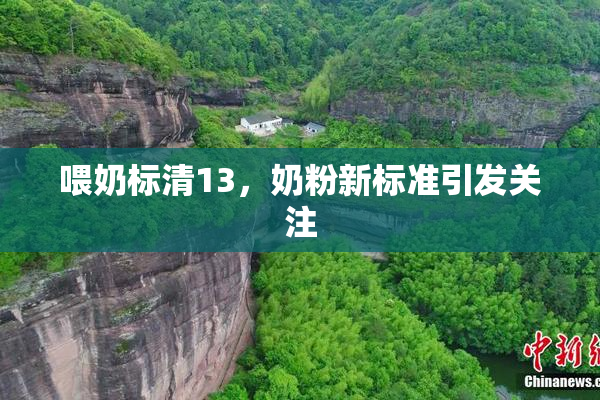 喂奶标清13，奶粉新标准引发关注