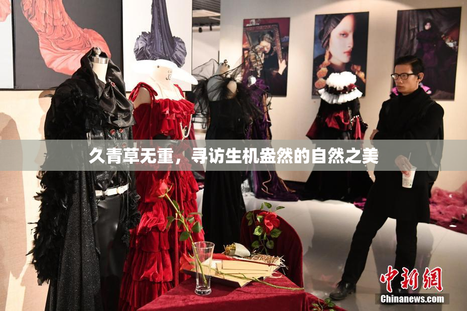 久青草无重，寻访生机盎然的自然之美