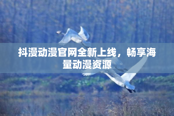 抖漫动漫官网全新上线，畅享海量动漫资源