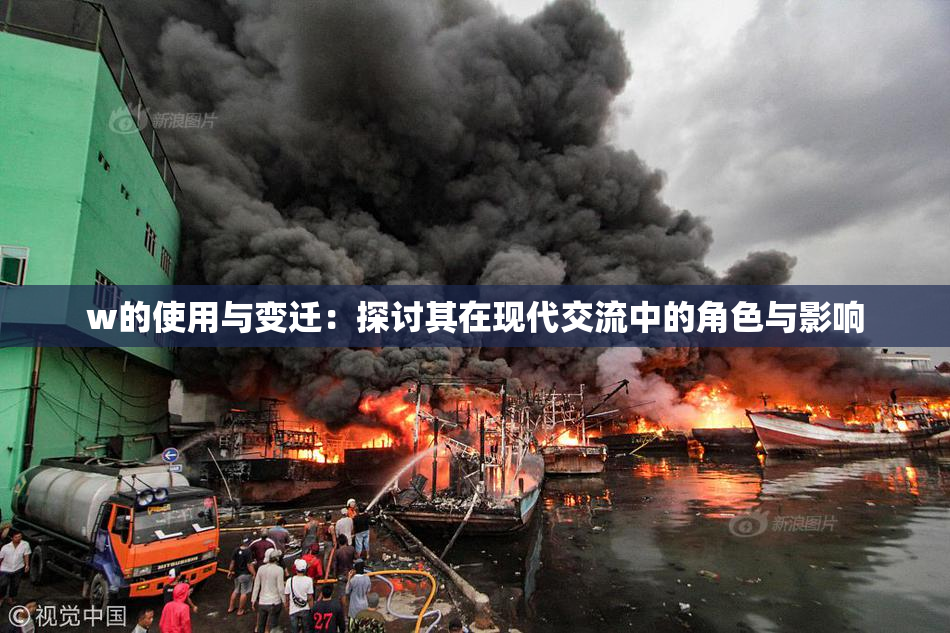 w的使用与变迁：探讨其在现代交流中的角色与影响