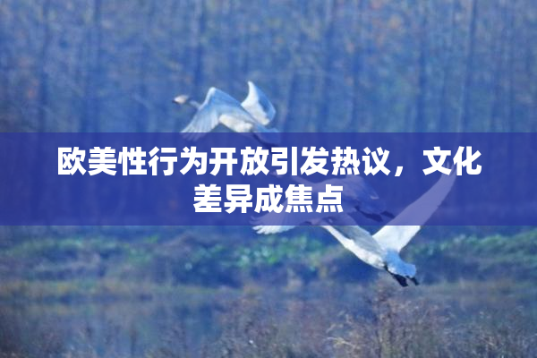 欧美性行为开放引发热议，文化差异成焦点
