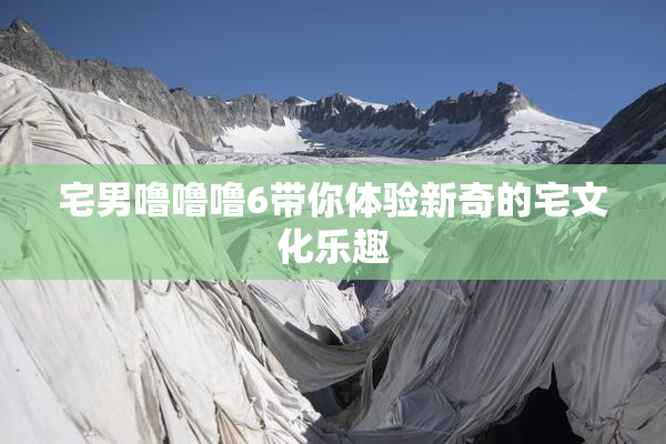 宅男噜噜噜6带你体验新奇的宅文化乐趣