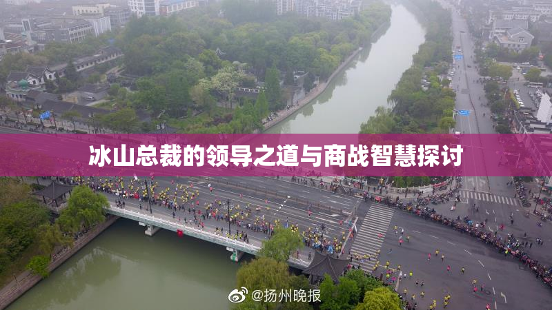 冰山总裁的领导之道与商战智慧探讨