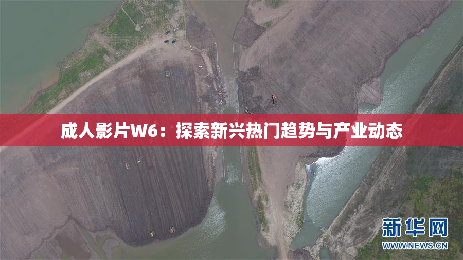 成人影片W6：探索新兴热门趋势与产业动态