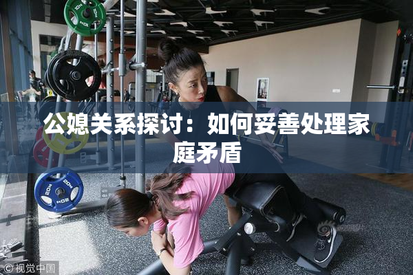 公媳关系探讨：如何妥善处理家庭矛盾