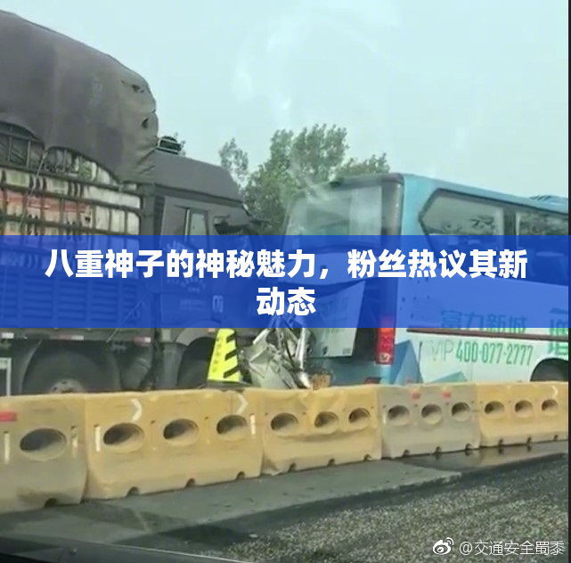 八重神子的神秘魅力，粉丝热议其新动态