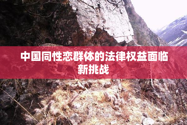 中国同性恋群体的法律权益面临新挑战