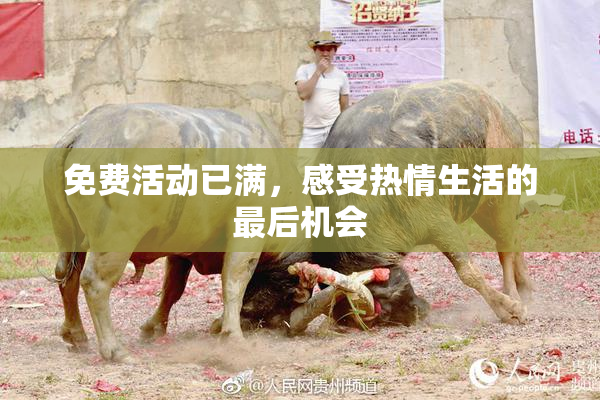 免费活动已满，感受热情生活的最后机会