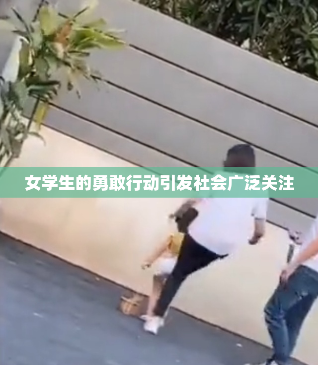 女学生的勇敢行动引发社会广泛关注