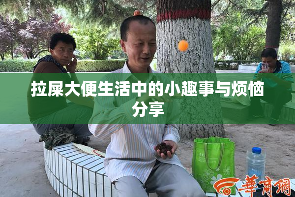 拉屎大便生活中的小趣事与烦恼分享