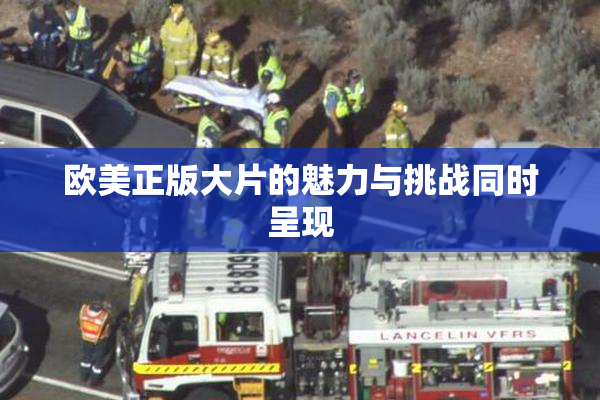 欧美正版大片的魅力与挑战同时呈现