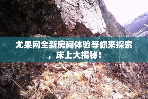 尤果网全新房间体验等你来探索，床上大揭秘！