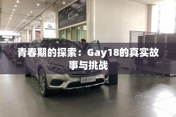 青春期的探索：Gay18的真实故事与挑战