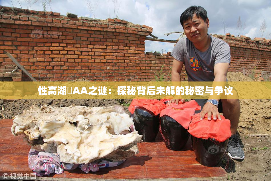 性高湖婬AA之谜：探秘背后未解的秘密与争议