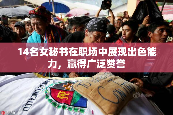 14名女秘书在职场中展现出色能力，赢得广泛赞誉