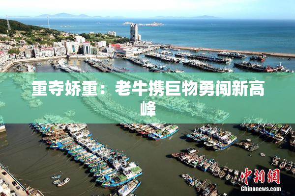 重夺娇重：老牛携巨物勇闯新高峰