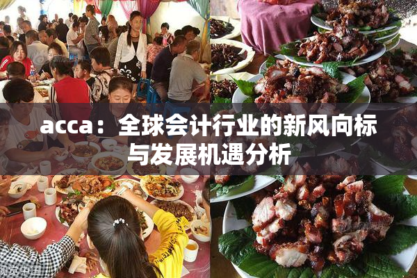 acca：全球会计行业的新风向标与发展机遇分析