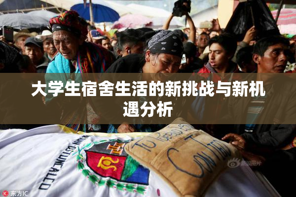 大学生宿舍生活的新挑战与新机遇分析