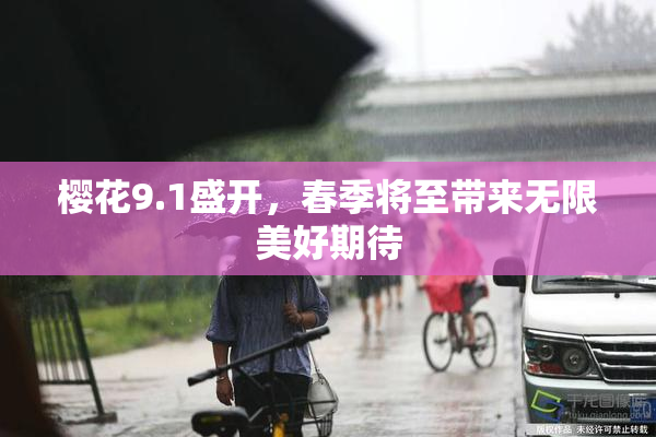 樱花9.1盛开，春季将至带来无限美好期待