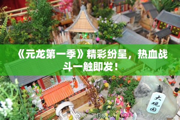 《元龙第一季》精彩纷呈，热血战斗一触即发！