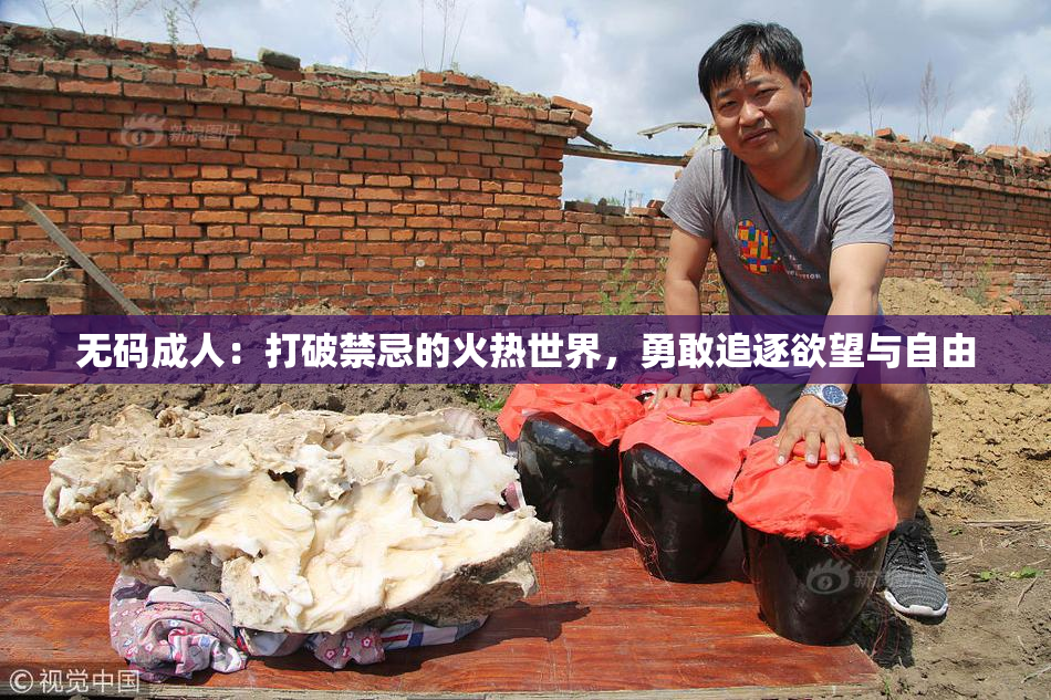 无码成人：打破禁忌的火热世界，勇敢追逐欲望与自由