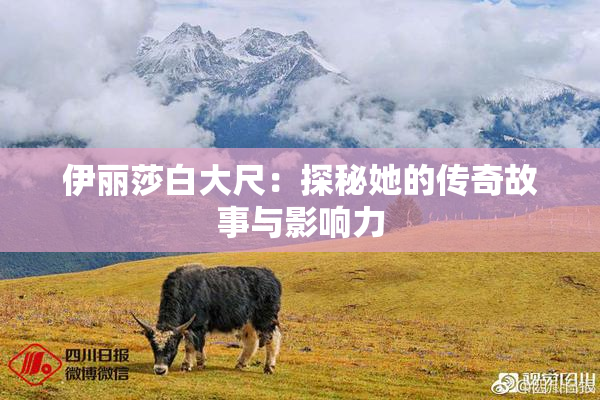 伊丽莎白大尺：探秘她的传奇故事与影响力