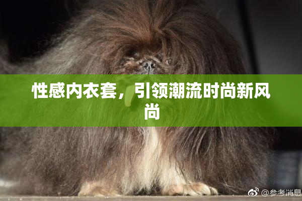 性感内衣套，引领潮流时尚新风尚