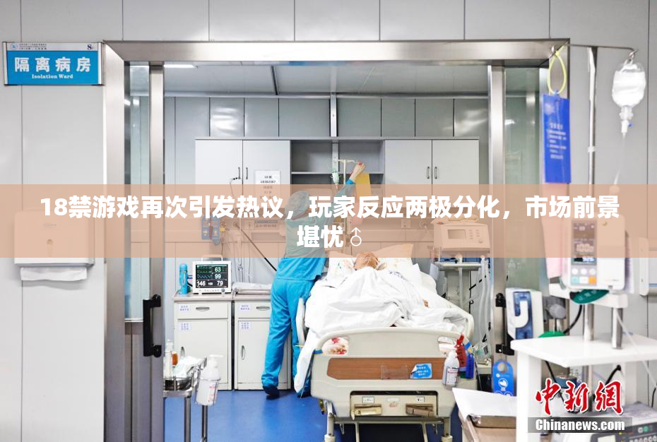 18禁游戏再次引发热议，玩家反应两极分化，市场前景堪忧♂