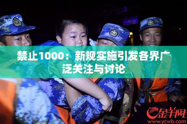 禁止1000：新规实施引发各界广泛关注与讨论