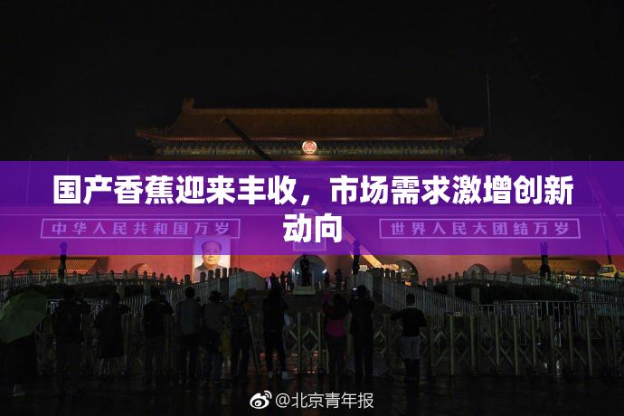 国产香蕉迎来丰收，市场需求激增创新动向