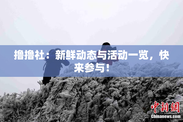撸撸社：新鲜动态与活动一览，快来参与！