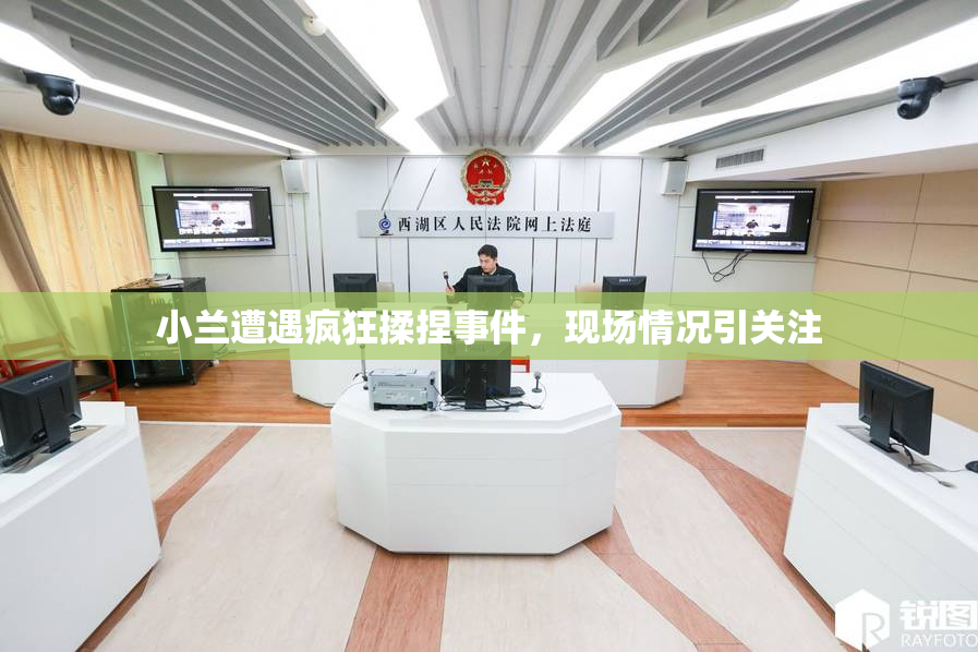 小兰遭遇疯狂揉捏事件，现场情况引关注