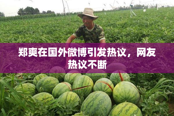 郑爽在国外微博引发热议，网友热议不断