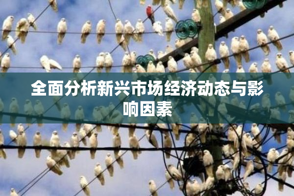 全面分析新兴市场经济动态与影响因素