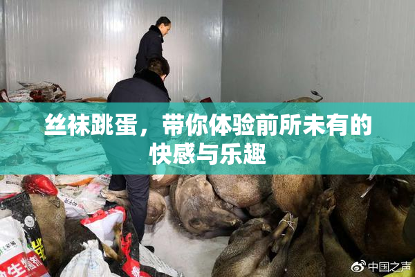 丝袜跳蛋，带你体验前所未有的快感与乐趣