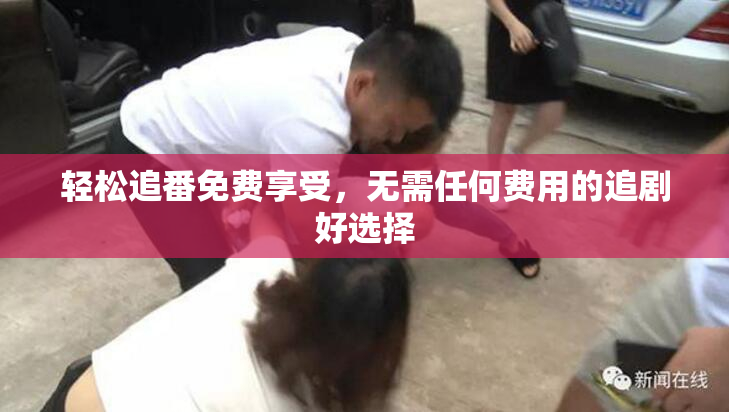 轻松追番免费享受，无需任何费用的追剧好选择
