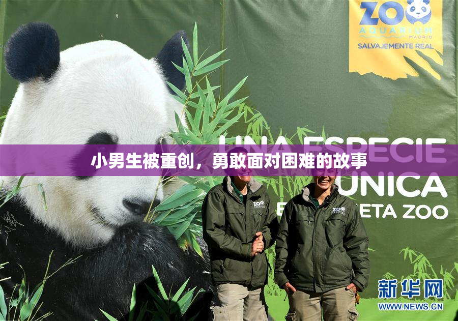 小男生被重创，勇敢面对困难的故事