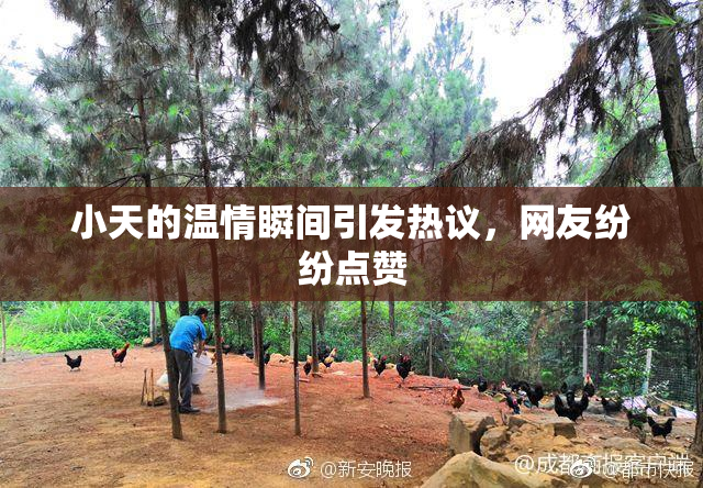 小天的温情瞬间引发热议，网友纷纷点赞