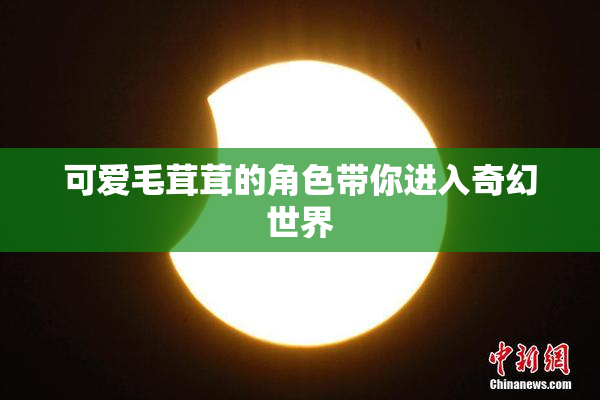 可爱毛茸茸的角色带你进入奇幻世界