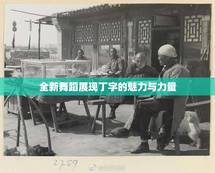 全新舞蹈展现丁字的魅力与力量