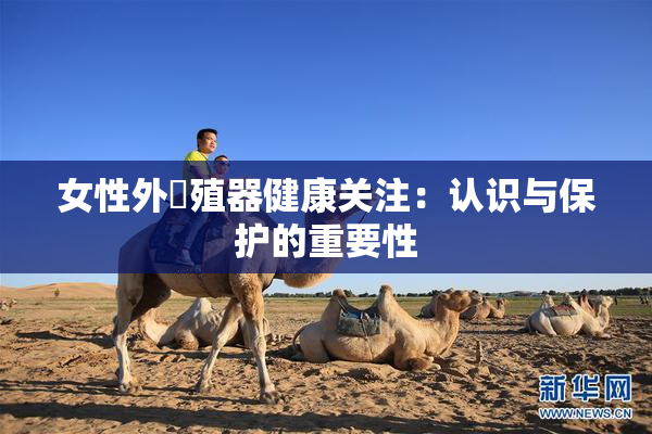 女性外夝殖器健康关注：认识与保护的重要性