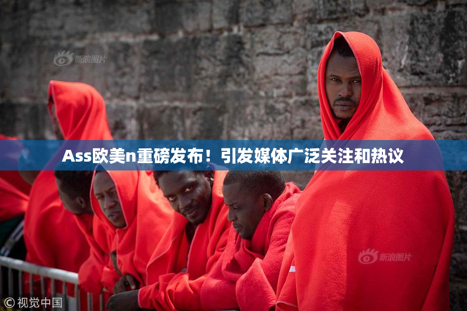 Ass欧美n重磅发布！引发媒体广泛关注和热议