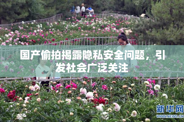 国产偷拍揭露隐私安全问题，引发社会广泛关注